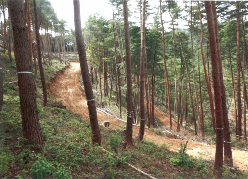 sekougo